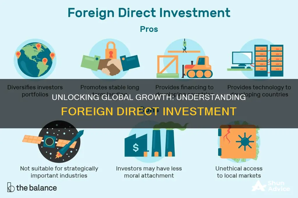 how does foreign direct investment work