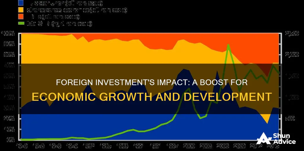 how does foreign investment affect economic