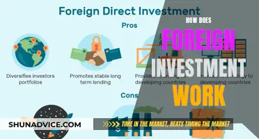 Unlocking Global Growth: Understanding the Power of Foreign Investment