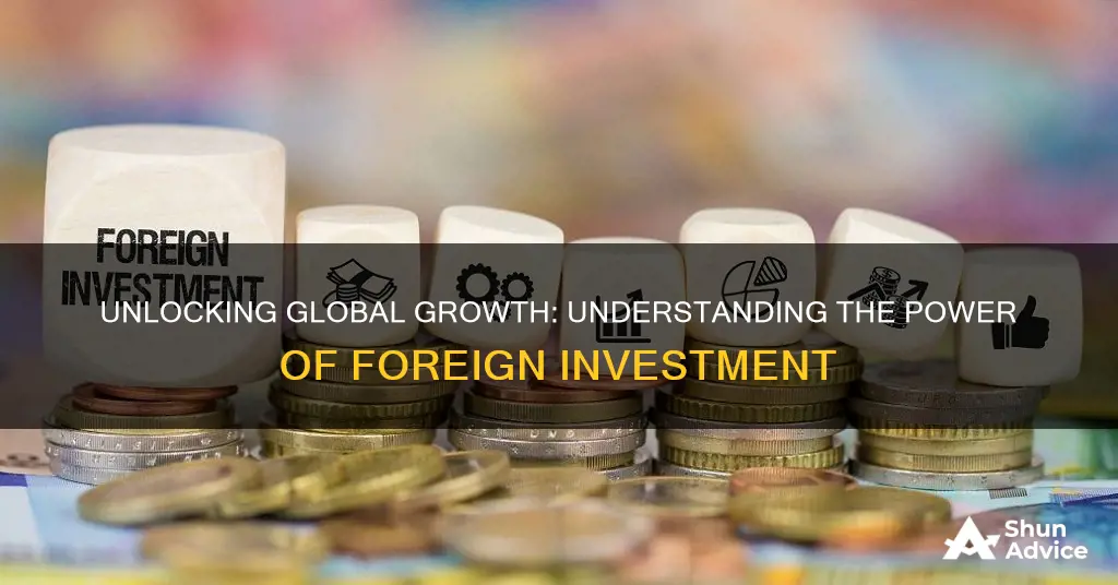 how does foreign investment work