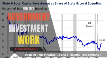 Unveiling the Power of Government Investment: A Comprehensive Guide