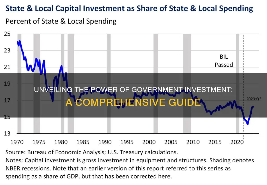 how does government investment work