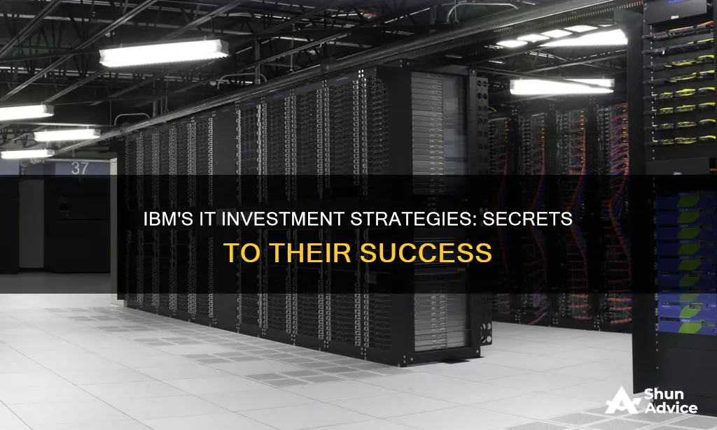 how does ibm make their it investments