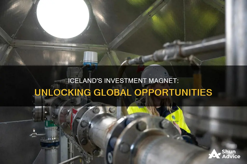 how does iceland promote foreign investment