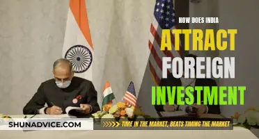 India's Foreign Investment: Strategies and Allurements