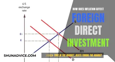 Inflation's Impact on Foreign Direct Investment: A Global Perspective