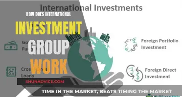 Unraveling the Global Reach: How International Investment Groups Operate