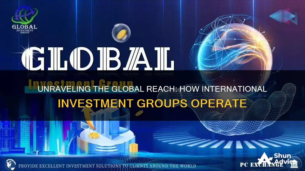 how does international investment group work