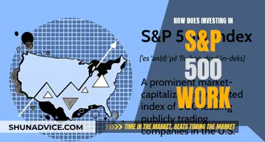 Unraveling the S&P 500: A Beginner's Guide to Investing