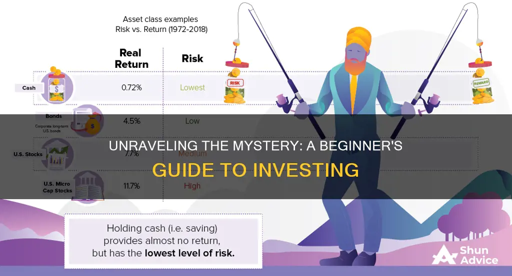 how does investing work for dummies