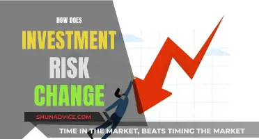 Understanding the Evolution of Investment Risk