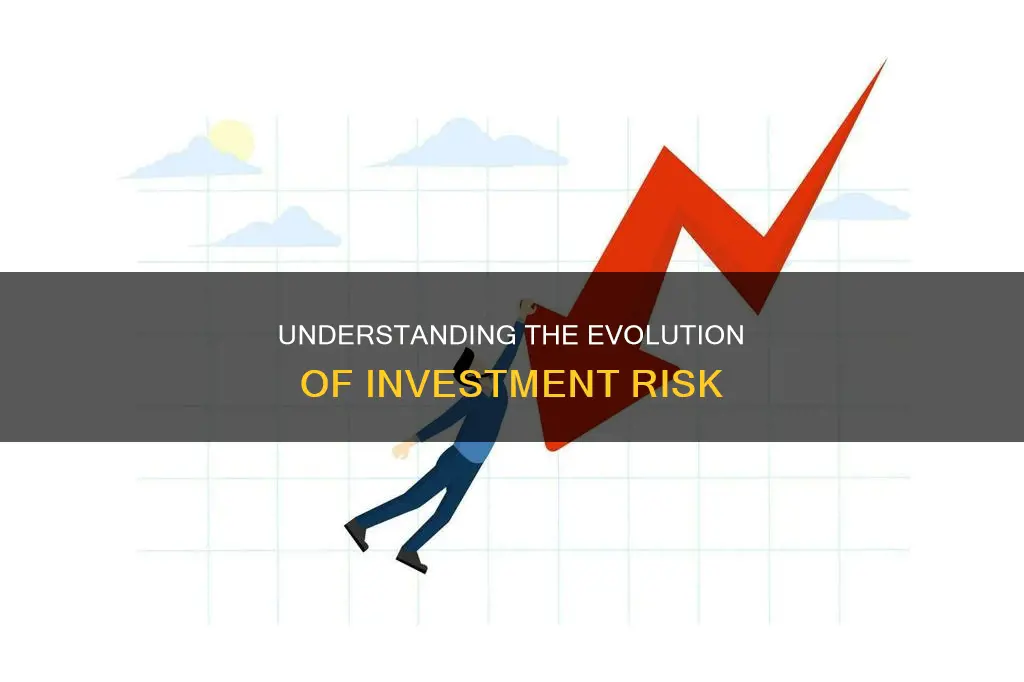 how does investment risk change