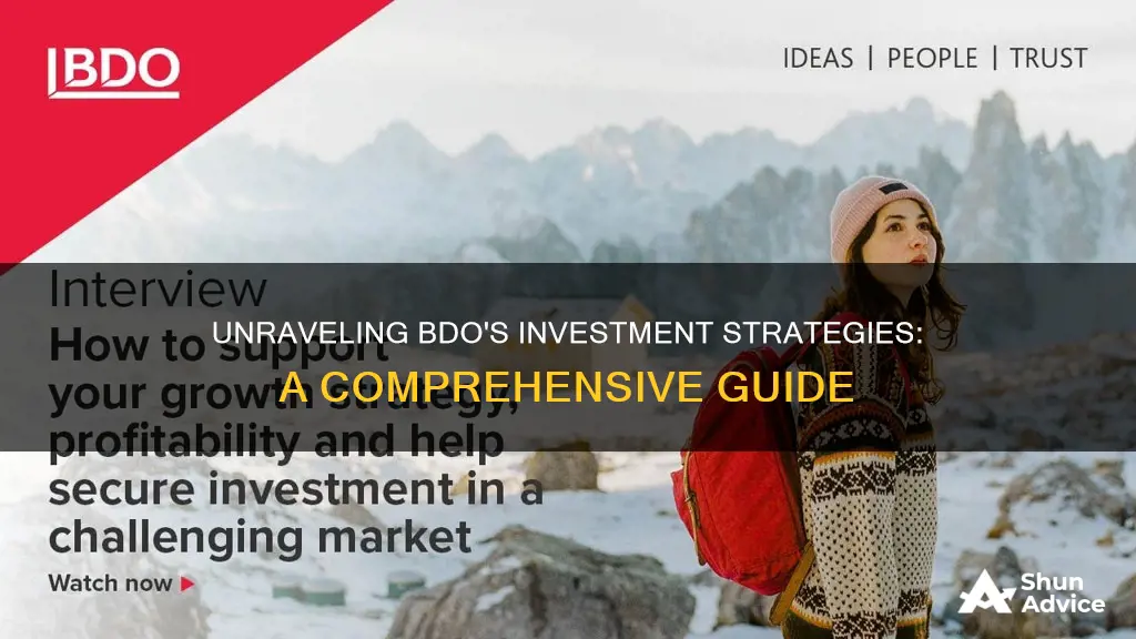 how does investments work in bdo