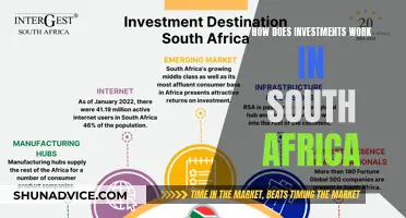 Unraveling South Africa's Investment Landscape: A Comprehensive Guide