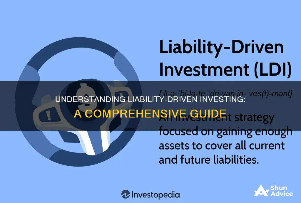 how does liability driven investment work