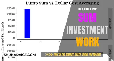 Understanding Lump Sum Investing: A Comprehensive Guide