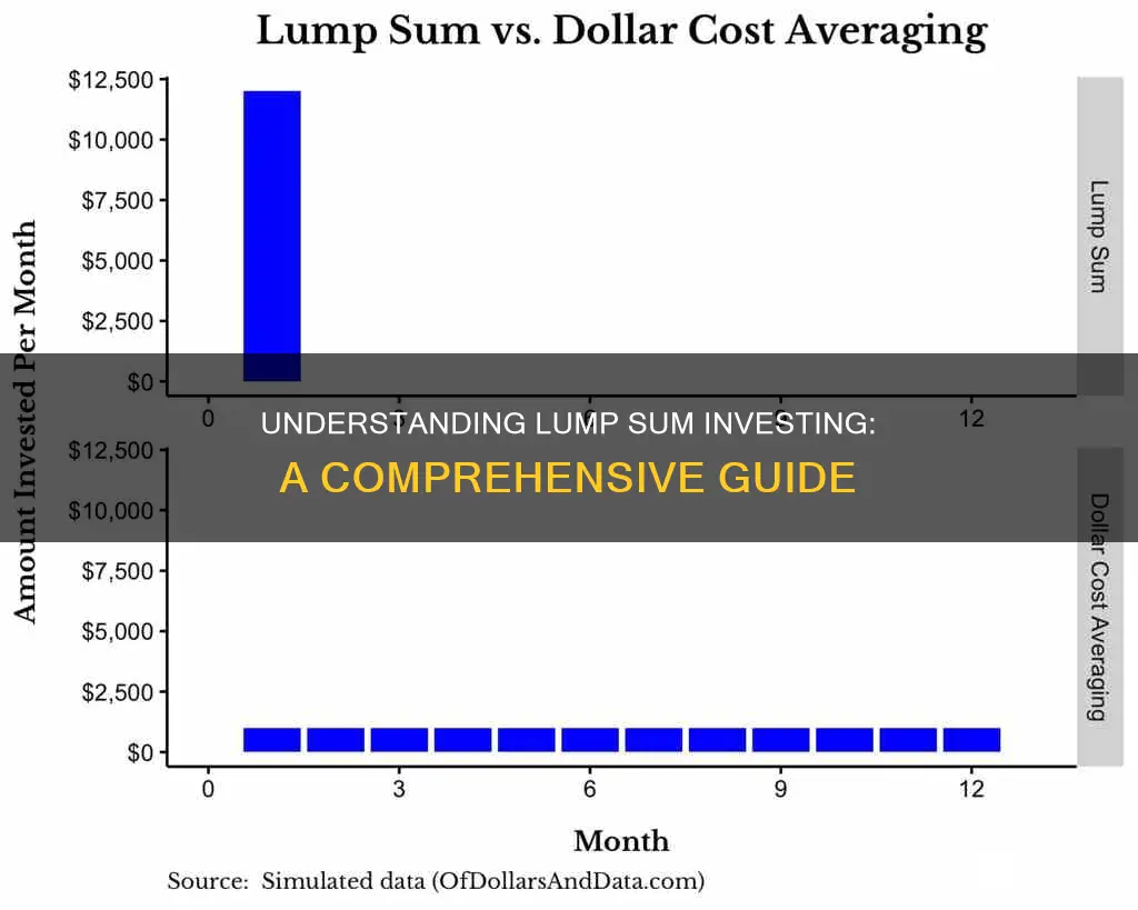 how does lump sum investment work