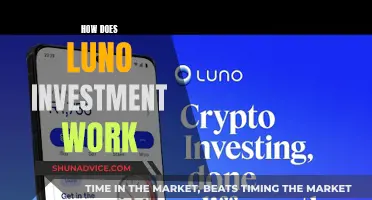 Unlocking Luno's Investment Potential: A Beginner's Guide