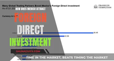 Mexico's Investment Magnetism: Unlocking Foreign Capital with Strategic Incentives