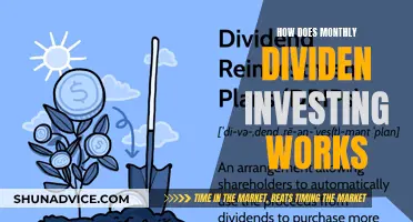 Unraveling the Magic: How Monthly Dividend Investing Works