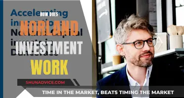 Unlocking Wealth: Understanding the Mechanics of Norland Investment Strategies