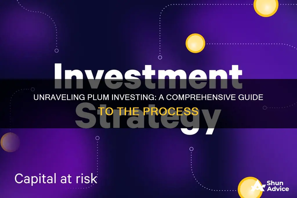 how does plum investing work