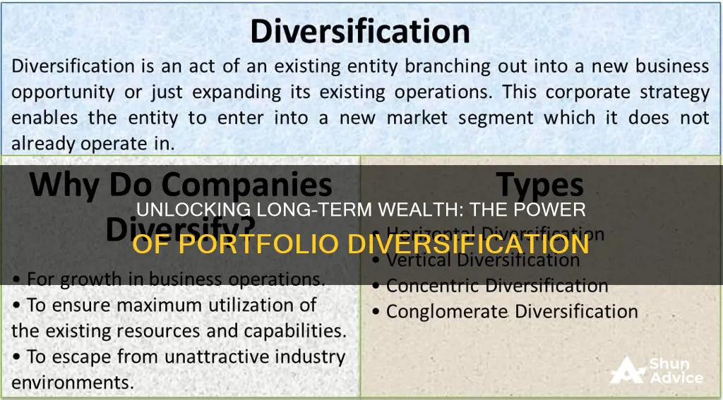 how does portfolio diversification help achieve long-term investment plans