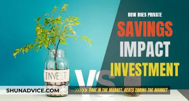 Savings Impact: Understanding Investment and Private Savings Dynamics