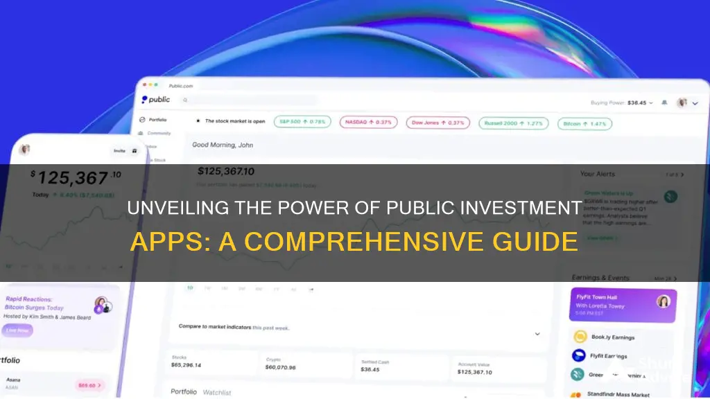 how does public investment app work