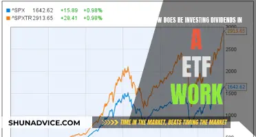 Maximizing Returns: The Power of Reinvesting Dividends in ETFs