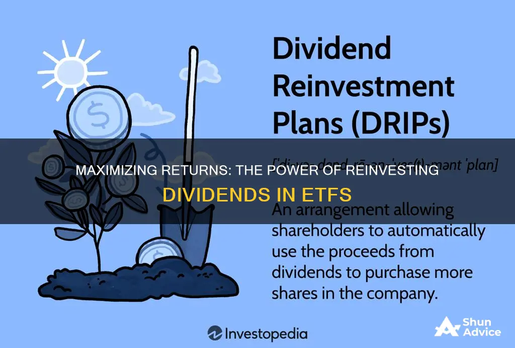 how does re investing dividends in a etf work