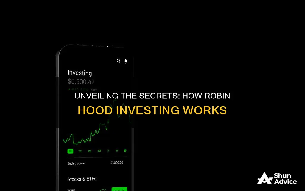 how does robin hood investing work