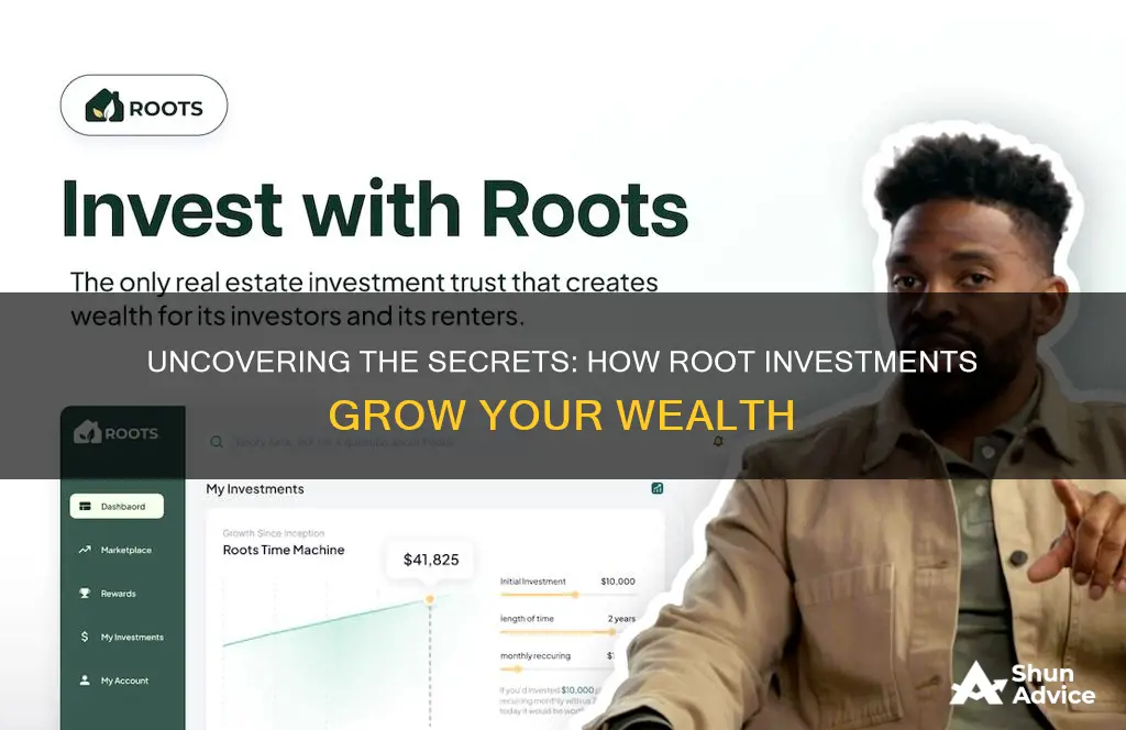 how does roots investment work