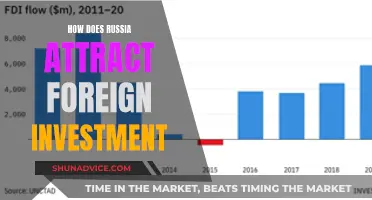 Unlocking Russia's Investment Magnetism: Strategies for Global Capital