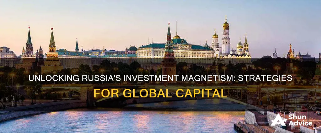 how does russia attract foreign investment