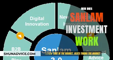 Sanlam Investment: Unlocking Your Financial Future with Expert Guidance