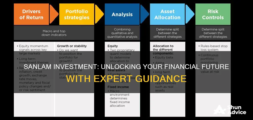 how does sanlam investment work