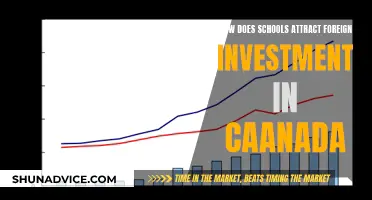 Unlocking Canada's Potential: Strategies for Attracting Foreign Investment in Education