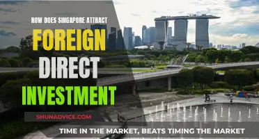 Singapore's Investment Magnetism: Unlocking Global Capital