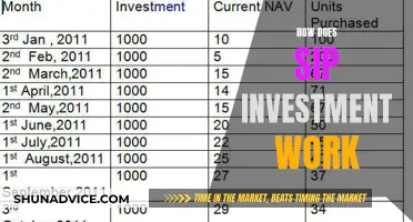 Unraveling SIP: A Comprehensive Guide to SIP Investment Strategies