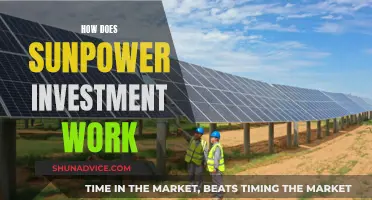 Unlocking Solar Potential: Understanding SunPower Investment Strategies