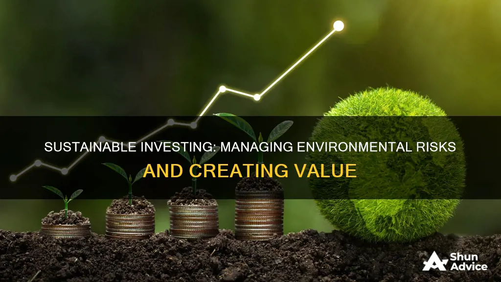 how does sustainable investing manage engivonmental risk