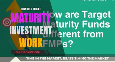 Understanding Target Maturity: A Guide to Long-Term Investment Strategies