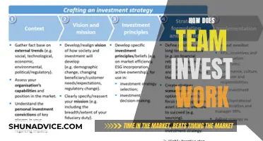 Unveiling the Secrets: How Team Investing Works