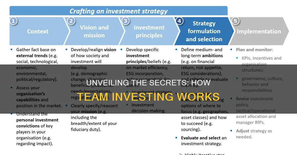 how does team invest work