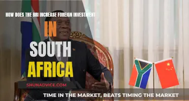 Bri's Role in Attracting Foreign Investment: South Africa's Success Story