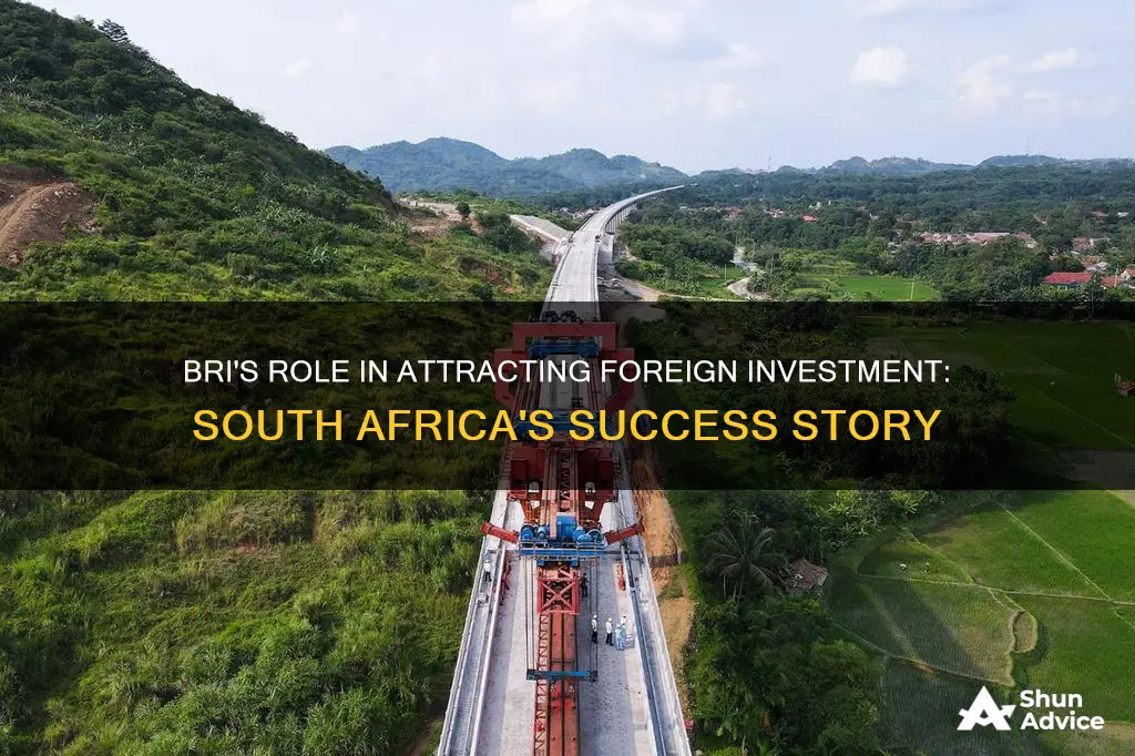 how does the bri increase foreign investment in south africa