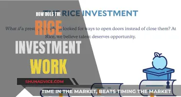 Unraveling the Secrets: How Rice Investments Yield Profits