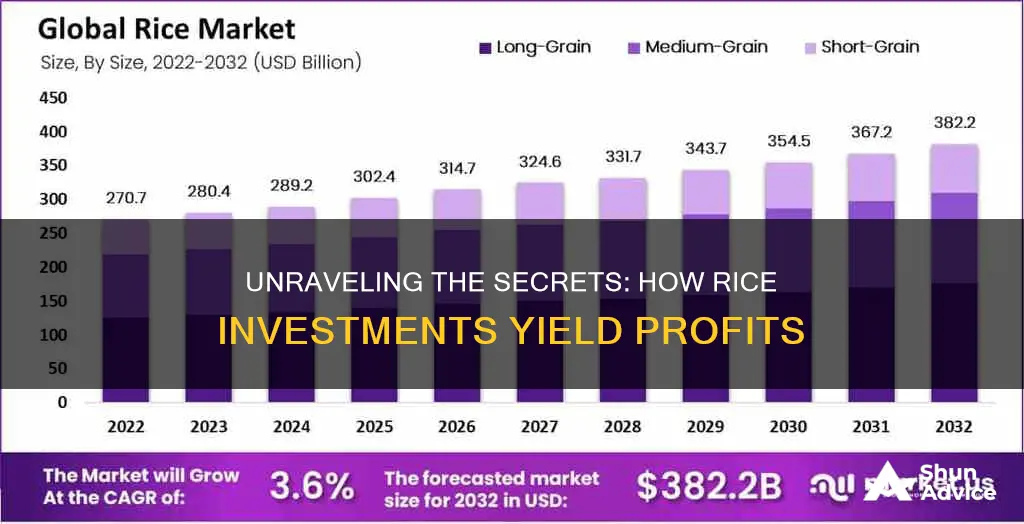 how does the rice investment work