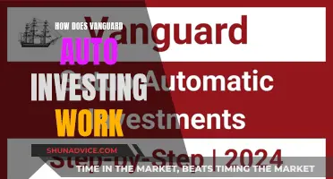 Vanguard Auto Investing: A Simple Guide to Automated Investing